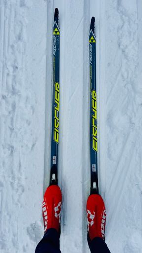 Klassisch Fischer Crown Vasa & Alpina Elite 3.0 Classic 