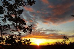 Sunset Toldaine
