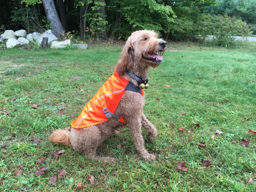 Just a reminder that Hunting Season has started