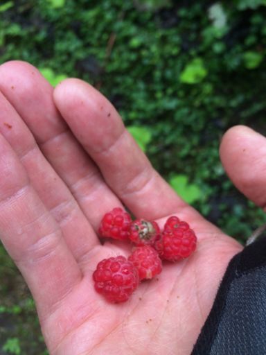 Le ravito gratuit qui redonne le moral