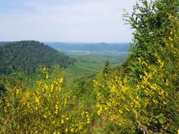VTT roches du Coquin et du Pilier