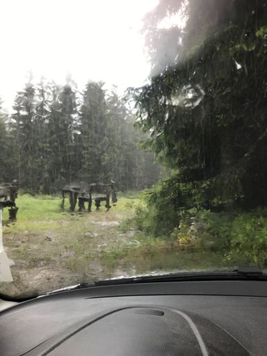 Totální chcanec!! 😂