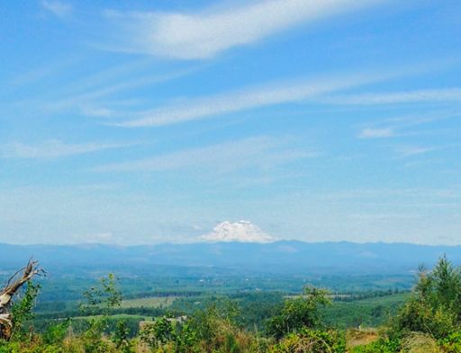 Rainier from atop Crego.