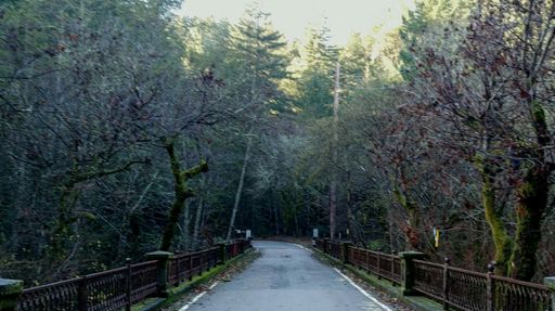 Wright's Station Bridge