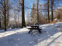 Petit tour de patinoire au Donon
