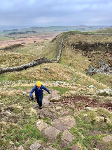 It is now a sycamore gap :(