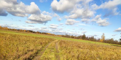 до второй половины дня было солнечно, потом погода начала портится.