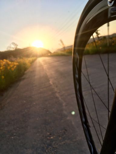 종종 실수로 찍은 사진이 느낌 좋은...