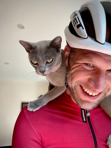 Eye of the tiger and a cat nap cruise