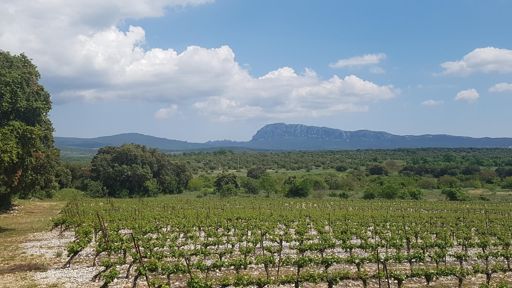 Le Pic et l hortus = pas maison et beau