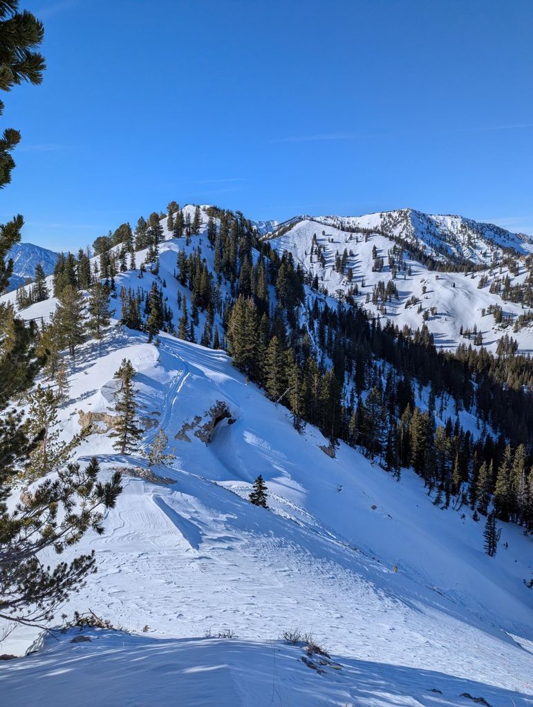 Double-click to expand Silver Fork Creek | Little Cottonwood — photo 1