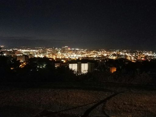 Birmingham from Red Mountain on the south side of town.