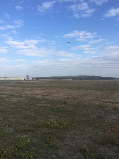 ... starten die großen Vögel vom Flughafen Schönhagen.