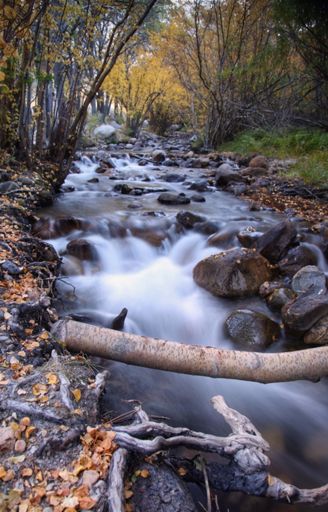Had a rinse off in the stream next to our campground at the end 😃