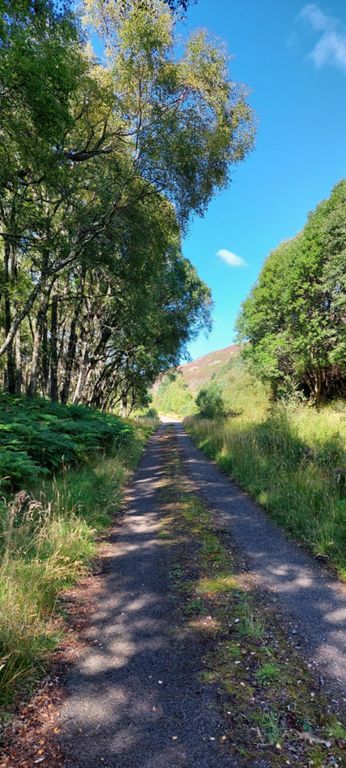 At this point, our little used unclassified road has turned right into the A9 and we continue on a track, which must be the old A9.