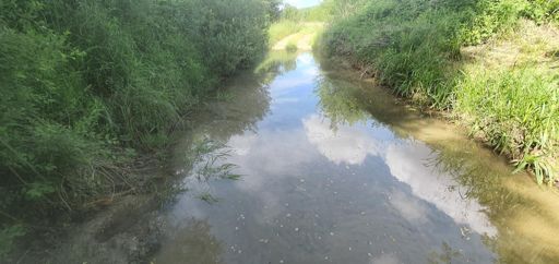 Kisebb mocsár...ne menjen bele senki, majdnem térdig ér és a fele iszap...😁