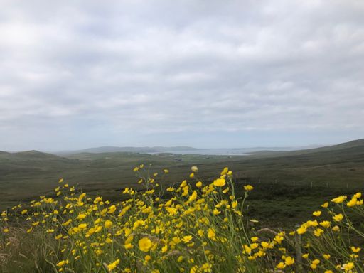 Nesting road looking toward Lerwick and maybe bressay