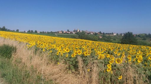 DOPO SFR VISTA DI ZENEVREDO