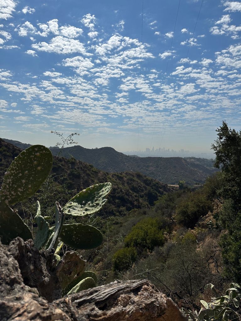 NBB run - Lake Hollywood photo 41