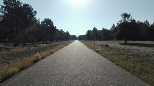 Lagunas de Cantalejo
