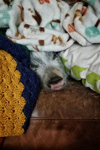 What Kevin does while I'm out suffering...