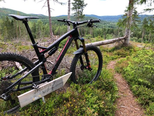 Nydelig og altfor kort snutt ned til skiløypa