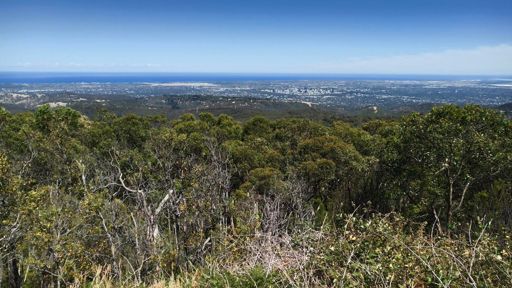 Looking good Adelaide!