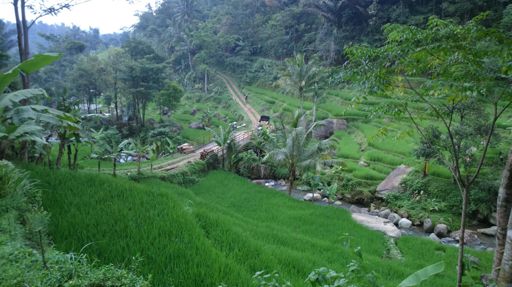 Spring water from every corner