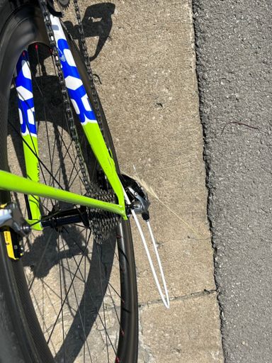 Grass hitchin a ride