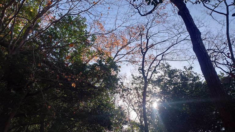 今日は雲一つなく天気いい!