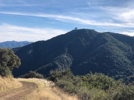 Woods trail with a view of the cube