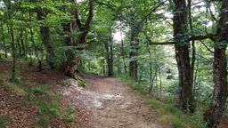 Mtb VTT grande boucle de la bresse