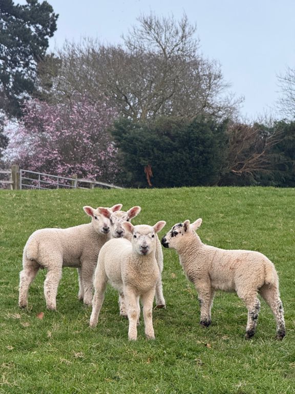 Tempo 1Km (aka. killer!)