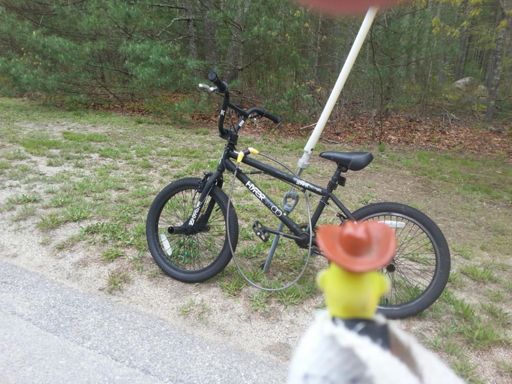 Bert checking out Reuben Brown's BMX bike. He wants me to axle pegs on the Focus.