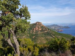 Balade dans l’Esterel