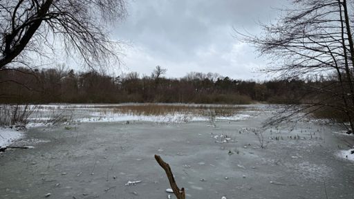 Langsam friert der Faule See im gleichnamigen Naturpark zu. Ein Abstecher dorthin musste heute sein.