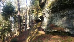 Course à pied le midi