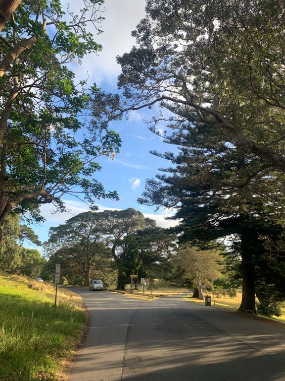 6km EAST. CP to Moore Park Rd to Anzac Pde 6.0 km Running Route on Strava