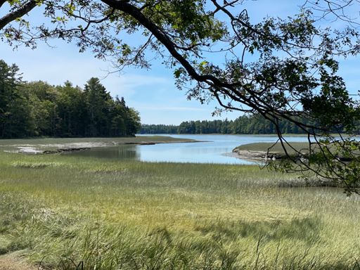 Sarah Furbush Preserve near prince's point.  