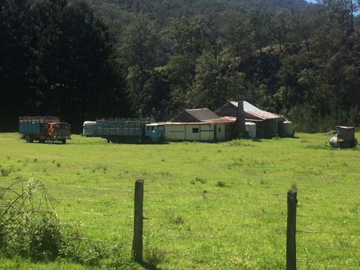 Run down farm house on old Grafton-Glen Innes Road