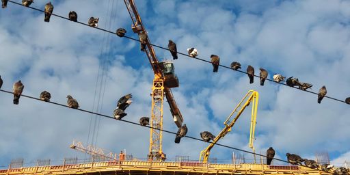 утро курского вокзала. красиво расселись