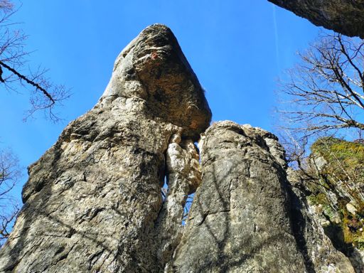 Combe d'Arvaux, dite Combe aux Mammouths