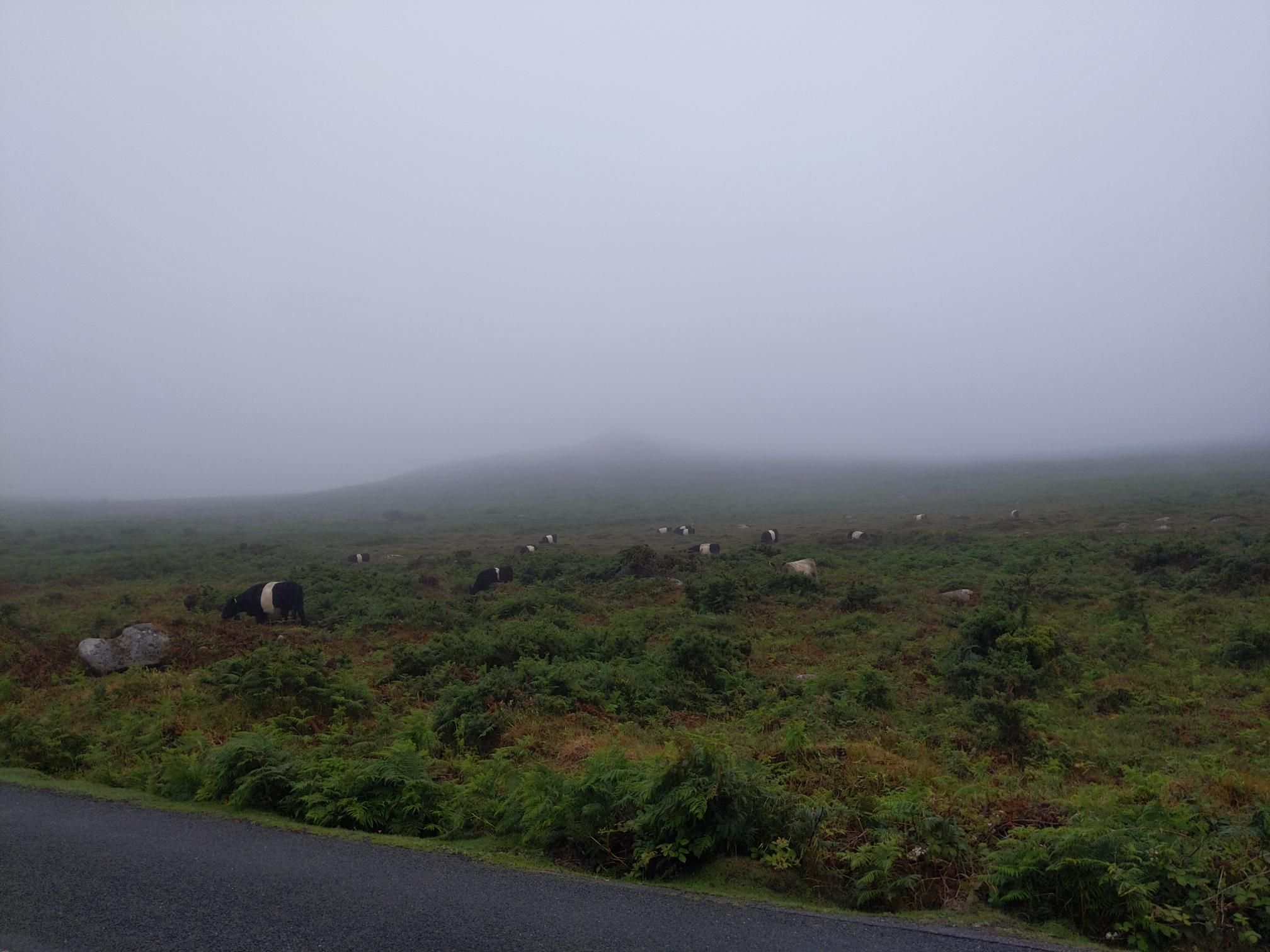 Skipton to Lands End - Day 7 photo 5