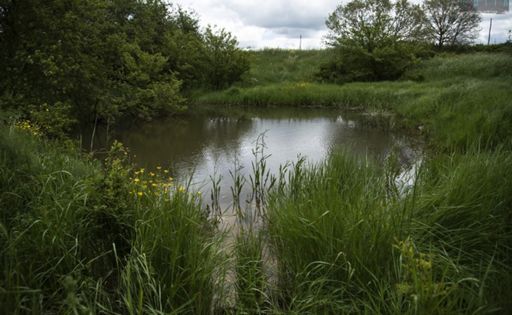 il Laghetto di San Giuseppe: oasi solitarie immerse nell'Alta Murgia