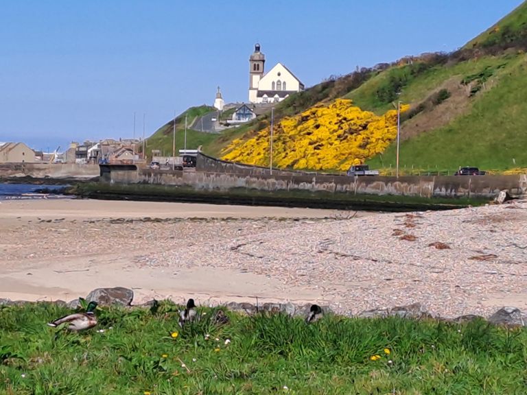 DCC Route 31 | 25.1 mi Cycling Route on Strava