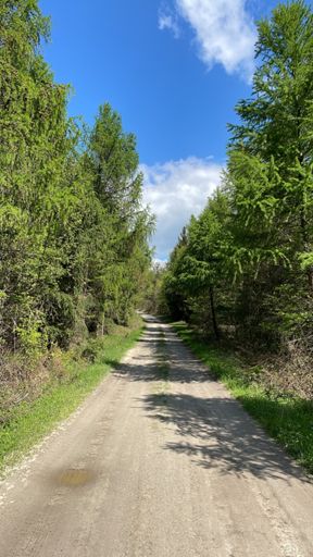 Idén sokadjára, no itt is kutyasz*rba mentem, 10-15 percet mostam az első kerekemet a pocsolyákban, törölgettem a fűben (nem tudtam kitalálni jobbat), próbáltam kipréselni a mintából sárral...