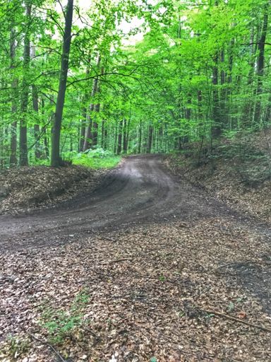 Sackgasse! Umdrehen und zurück.