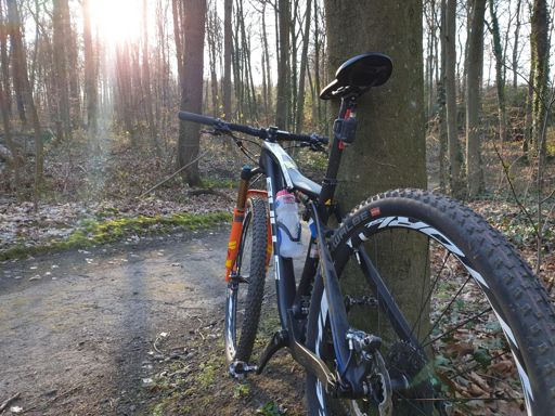 "Wilde Ecke"🥰... mein neues Baby...