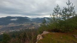 Madeleine Saint dié