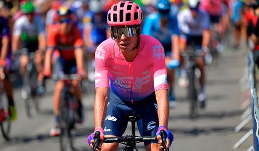 Let’s not forget about Rigopurrto Uran. 😺